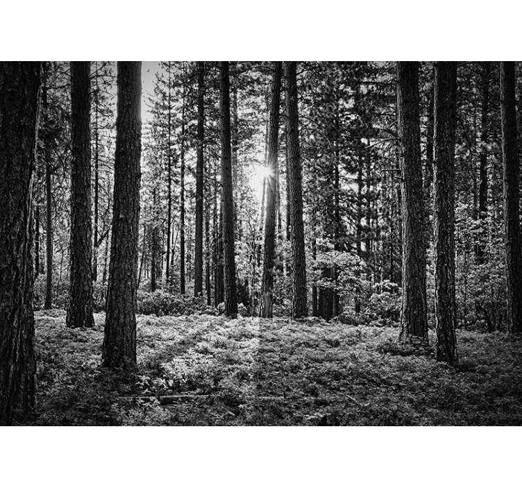 Estore de rolo preto floresta monocromática - TenStickers