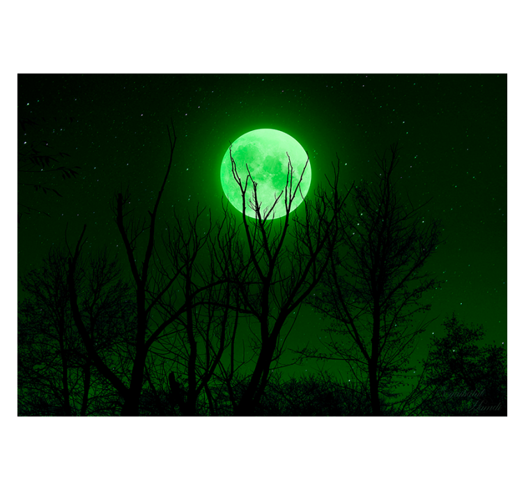 Estore de rolo preto lua verde - TenStickers