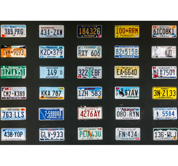 Estore de rolo preto placas de licença - TenStickers
