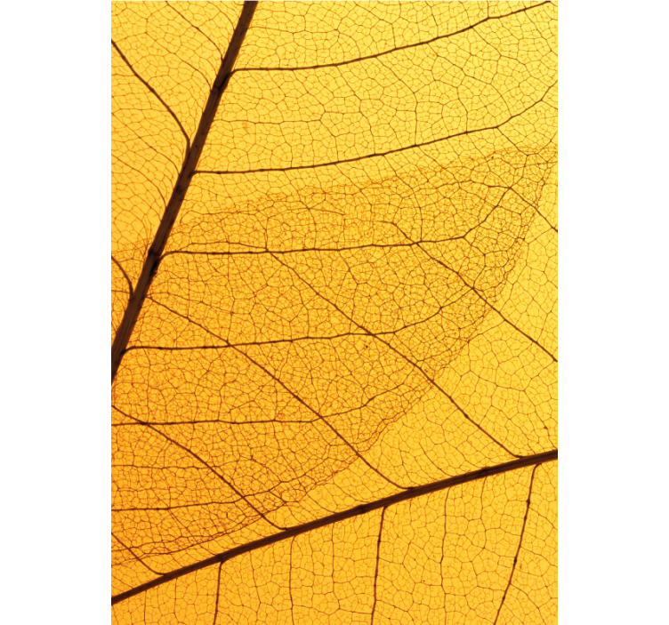 Estore de rolo amarelo com design de folhas botânicas - TenStickers