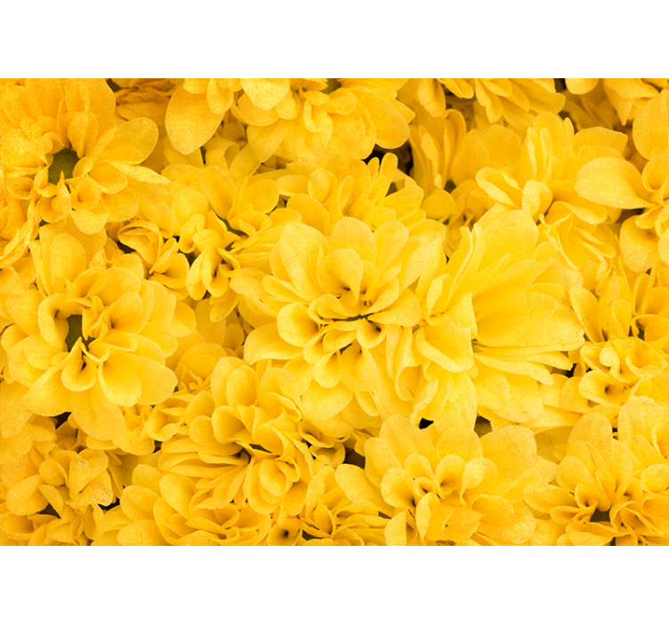Estore de rolo amarelo pétalas de flores - TenStickers