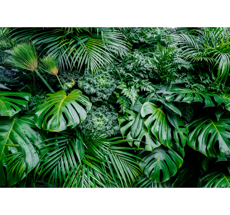 Estore de rolo verdes selva chuvosa - TenStickers