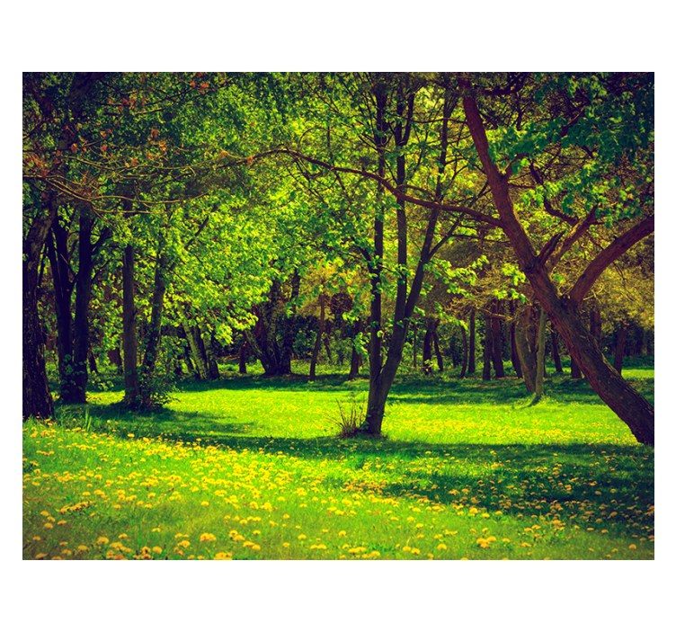 Estore de rolo verdes vista da floresta serena - TenStickers