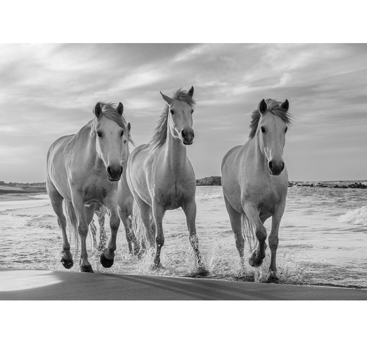 Estore de rolo branco correndo com os cavalos - TenStickers