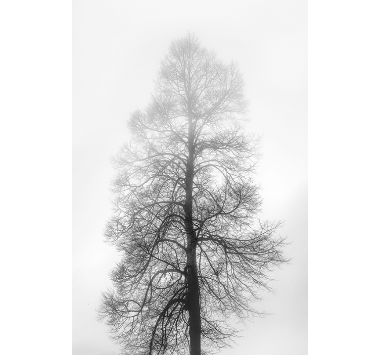 Cortina de janela em escala de cinza - TenStickers