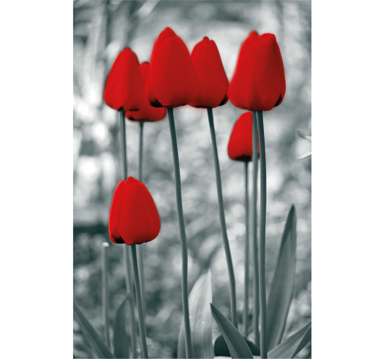 Tulipas vermelhas coloridas flores cegas - TenStickers