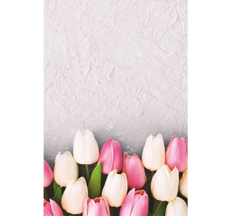 Tulipas brancas e rosa flores cegas - TenStickers