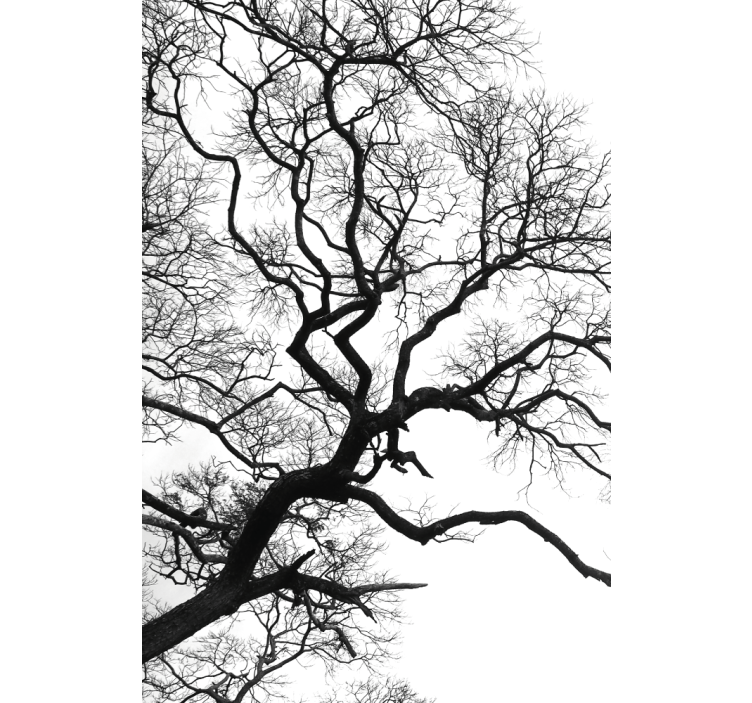 Pintura cega de ruptura de ramo de madeira única - TenStickers