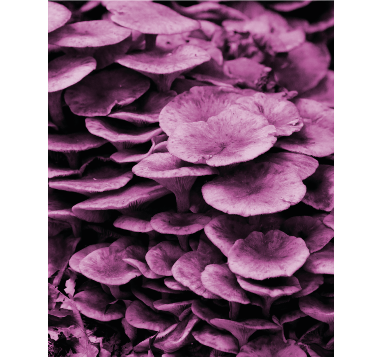 Estore de rolo flores e plantas camadas florais vibrantes - TenStickers