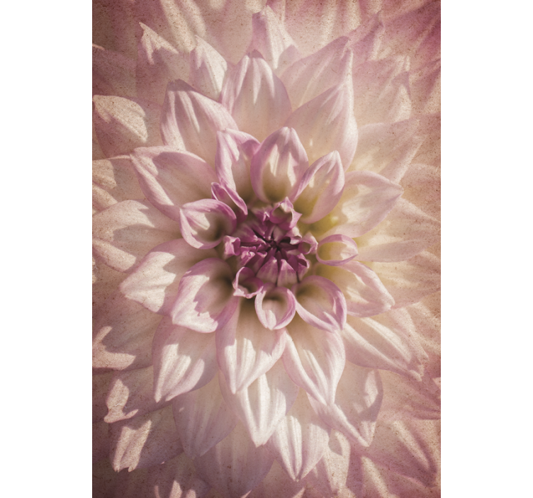 Estore de rolo flores e plantas flor delicada - TenStickers