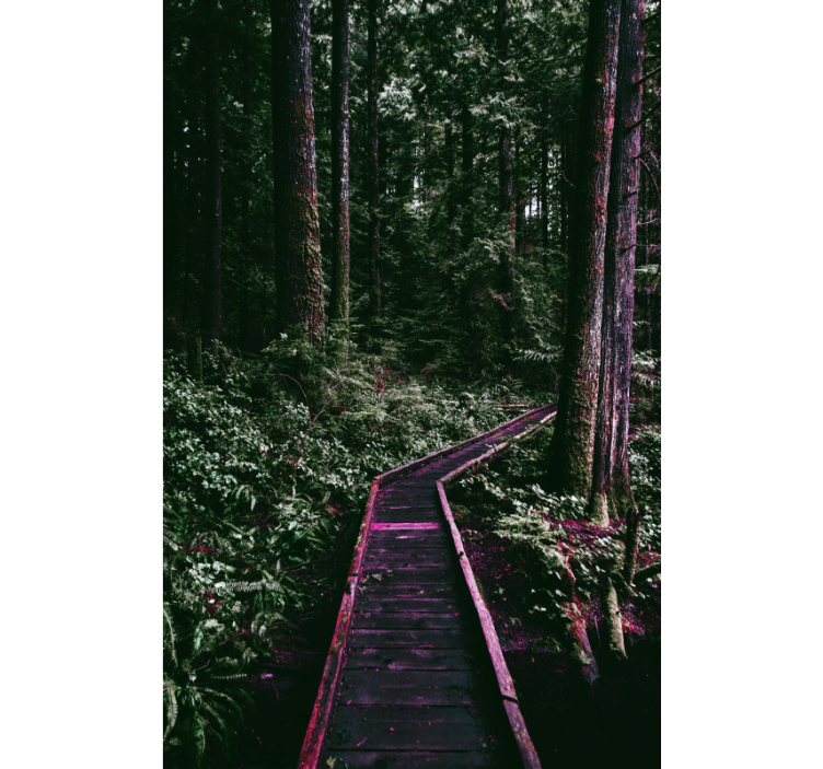 Estores de rolo de árvores caminho da floresta - TenStickers