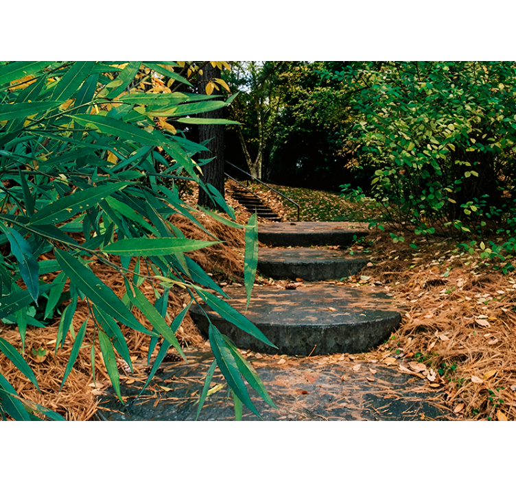 Floresta 3d e cortina de rolo original de estrada pequena - TenStickers