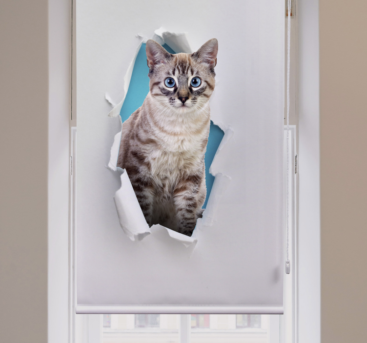 Gato vários animais cortinas de rolo - TenStickers