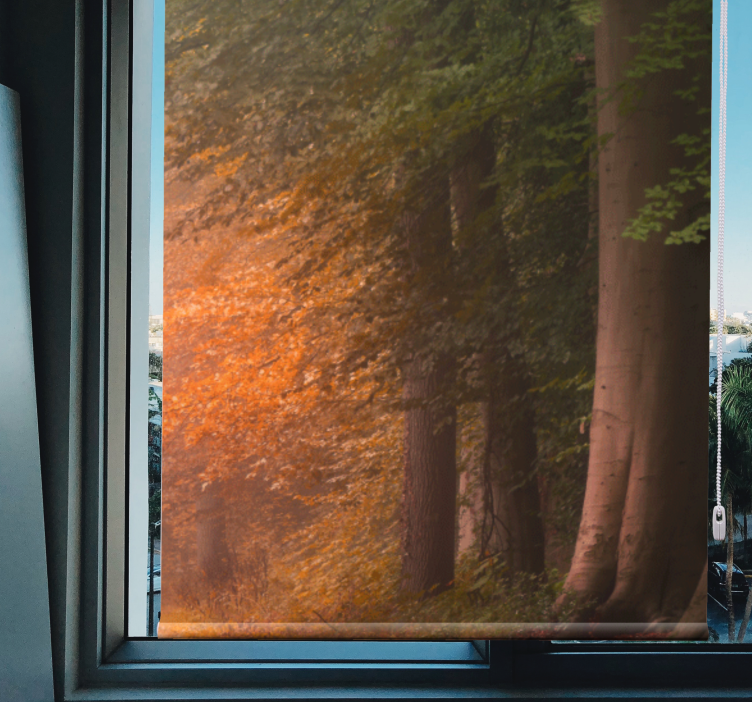 Cortina de rolo original da floresta fantástica profunda - TenStickers