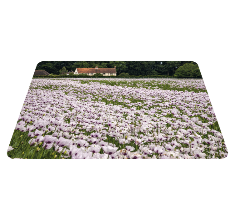 Individuais de mesa originais campo de flores de lavanda - TenStickers