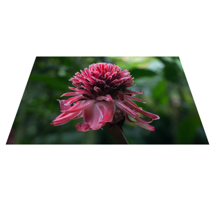 Individuais de mesa originais arranjo floral tropical - TenStickers