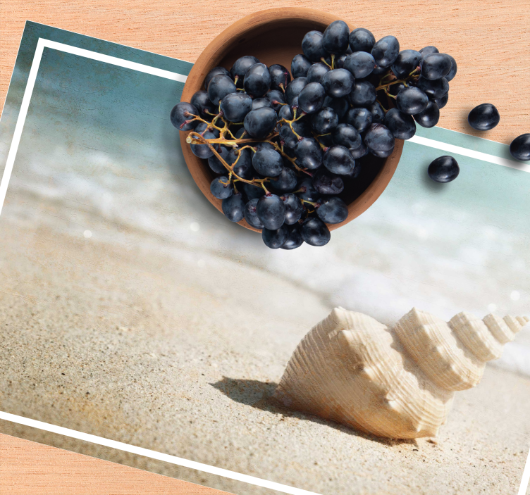 Individuais de mesa originais exibição de concha elegante - TenStickers