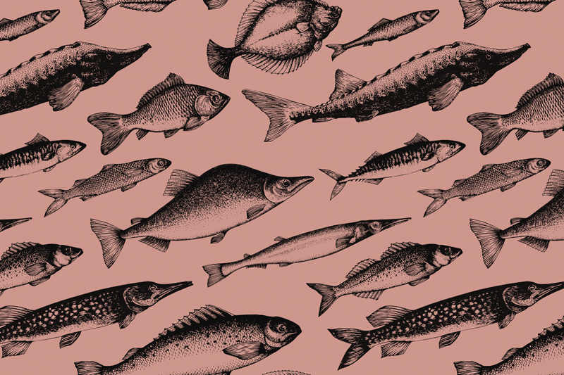 Individuais de mesa originais com arte de peixes - TenStickers
