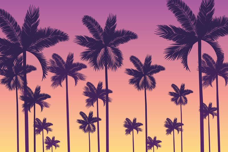 Individuais de mesa originais pôr do sol com palmeiras - TenStickers