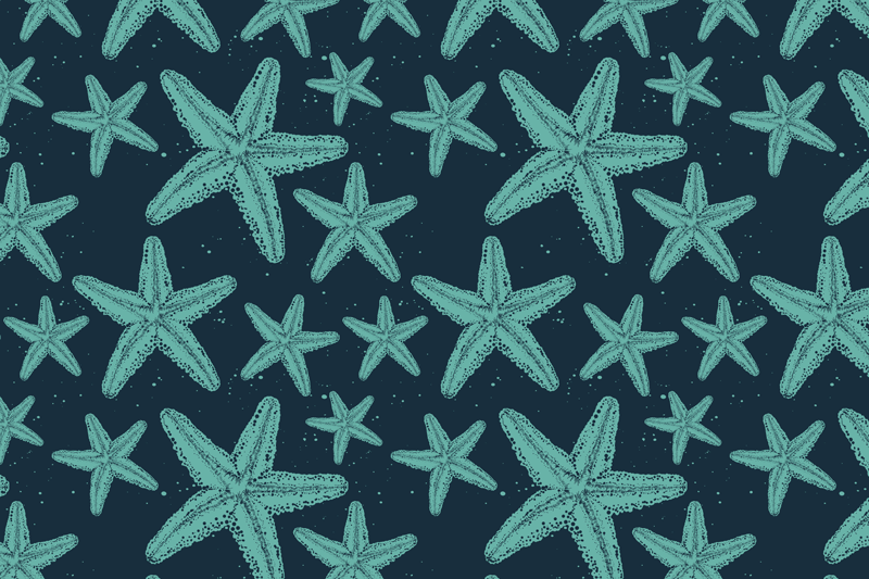 Individuais de mesa originais padrão de estrela do mar - TenStickers