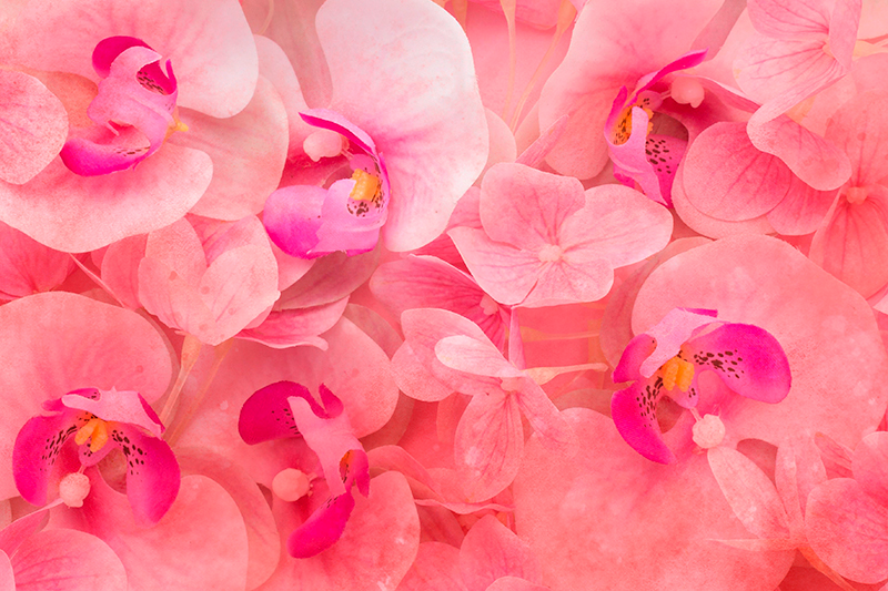 Individuais de mesa de texturas composição florais elegantes - TenStickers