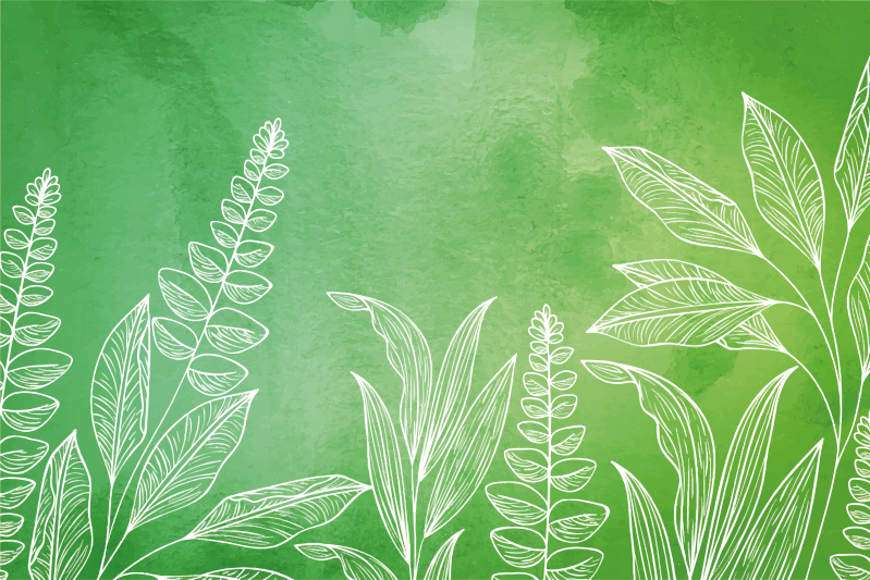 Individuais de mesa infantis com folhas - TenStickers