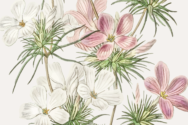 Individuais de mesa originais arranjo botânico floral - TenStickers