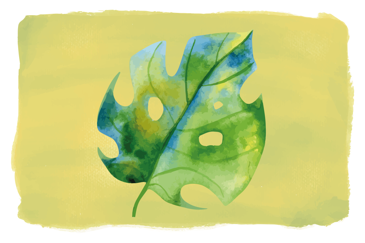 Individuais de mesa originais folha de monstera - TenStickers