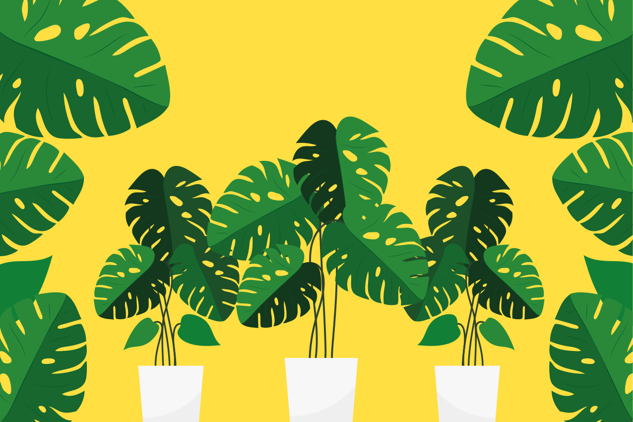Individuais de mesa modernos decoração folhas vivas - TenStickers