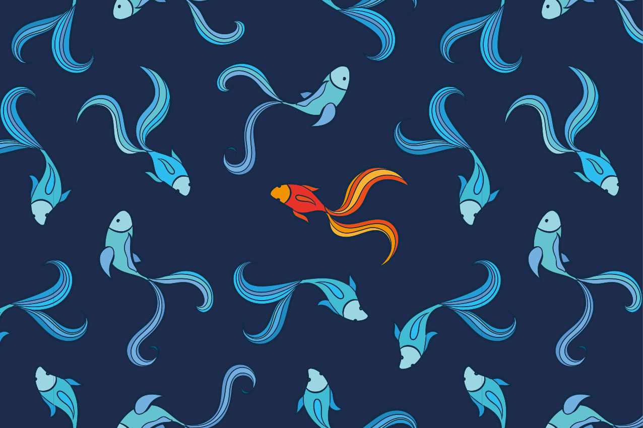 Individuais de mesa originais com motivo de peixes vibrantes - TenStickers