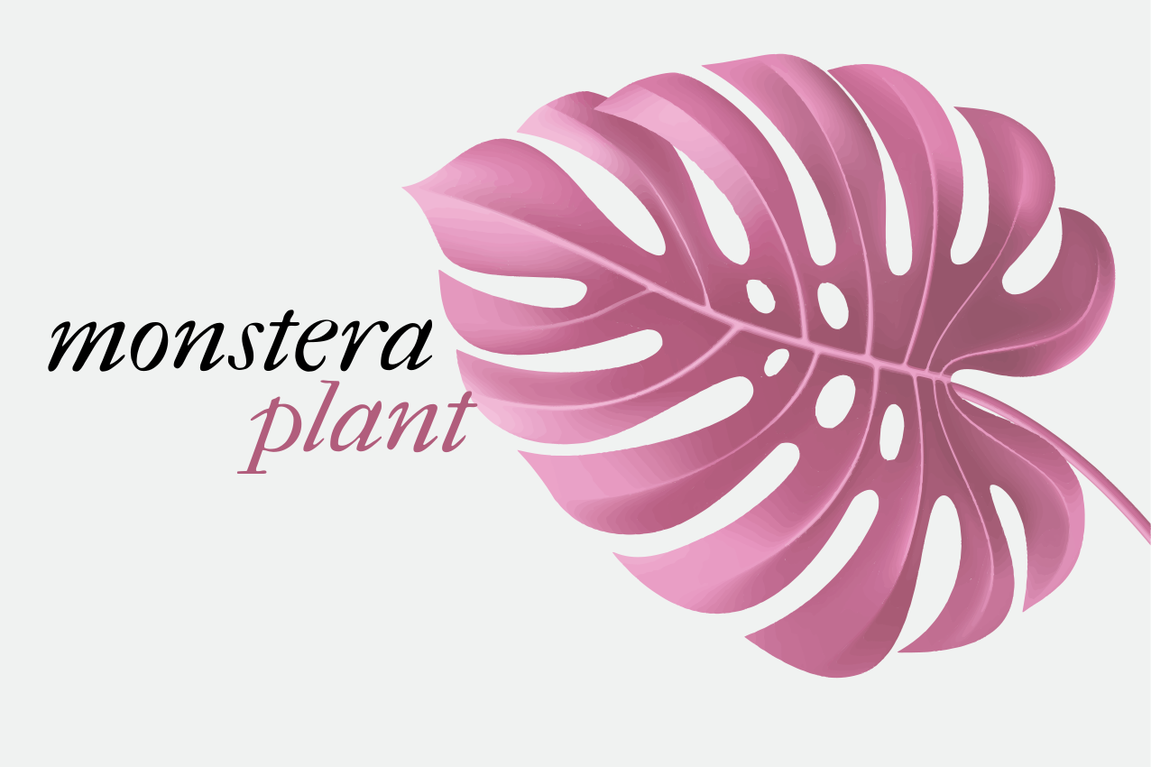 Individuais de mesa originais com estampa de folha monstera - TenStickers