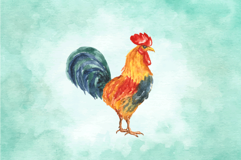 Individuais de mesa originais ilustração de galo colorido - TenStickers