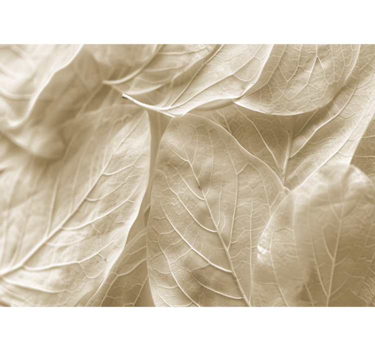 Mural de parede para quarto de casal grandes folhas bege - TenStickers