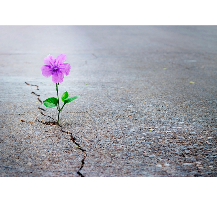 Fotomural Botânica Urbana - TenStickers