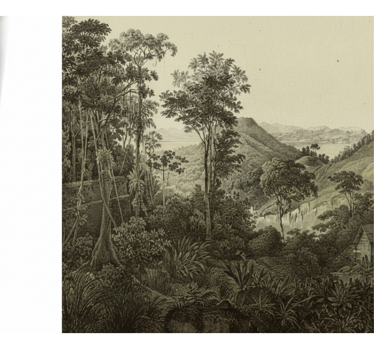 Mural de parede bosques impressão de floresta montanhosa - TenStickers