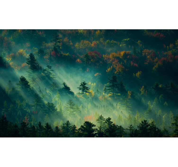 Mural de parede bosques a floresta melancólica - TenStickers