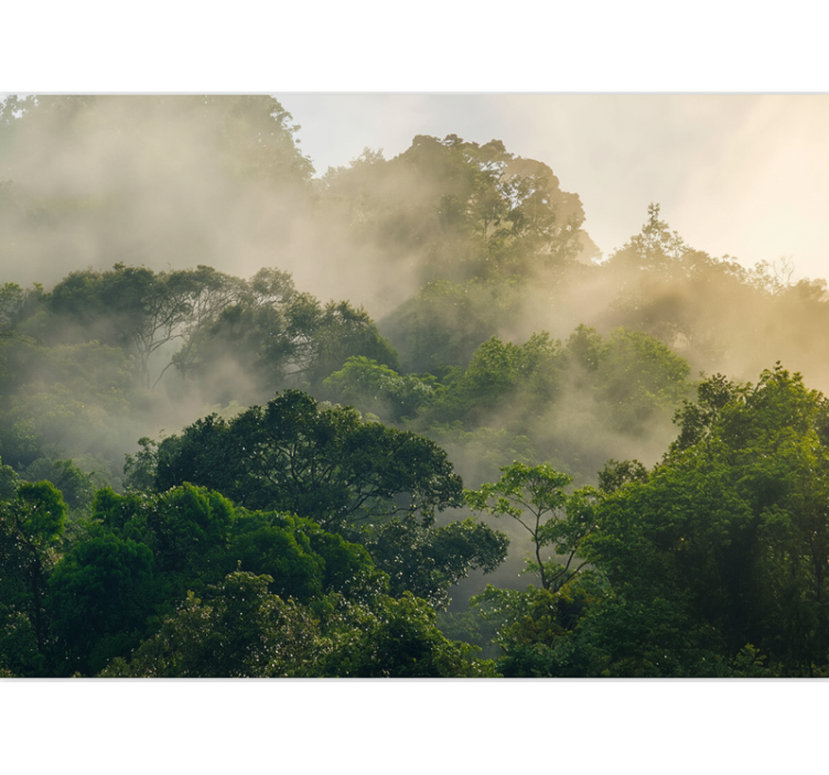 Mural de parede bosques densa copa da selva - TenStickers