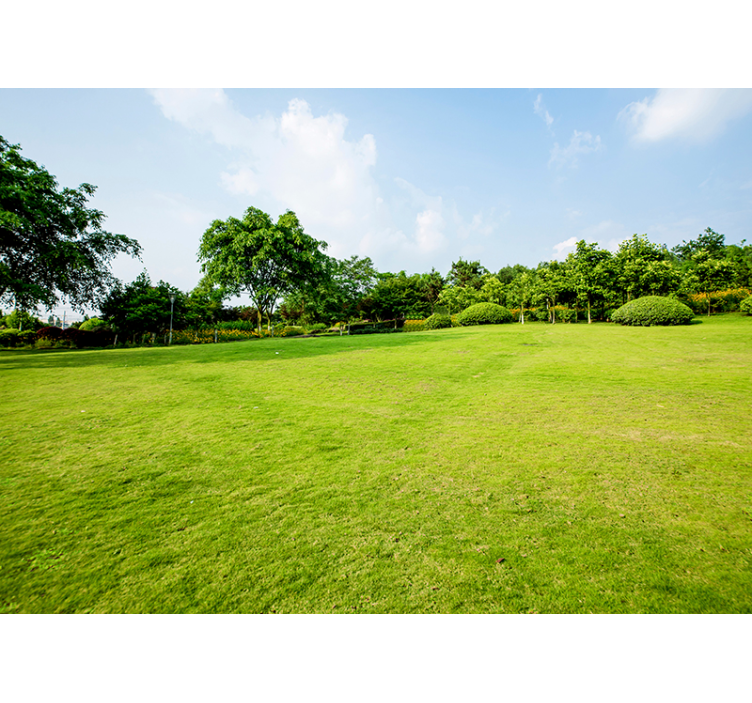 Fotomural decorativo de natureza prado verde - TenStickers