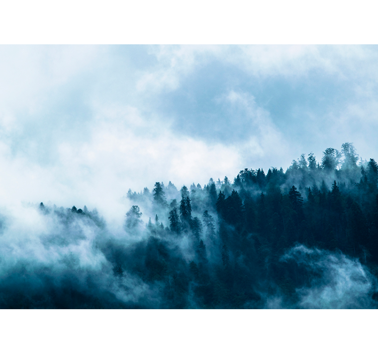 Fotomurais de paisagens Floresta no Inverno - TenStickers