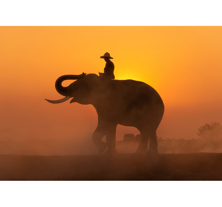 Fotomural elefante asiático ao pôr do sol - TenStickers