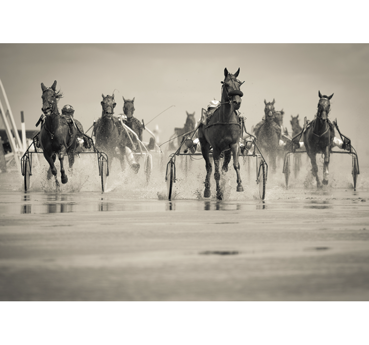 Mural de parede animais cavalos correndo juntos - TenStickers