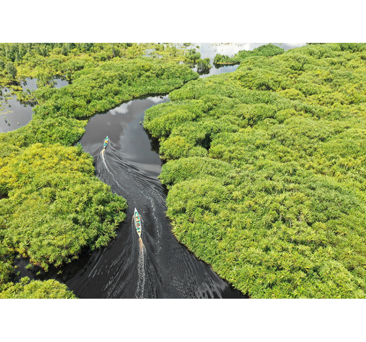 Fotomurais de paisagens viagem panorâmica pelo rio - TenStickers