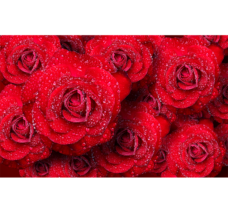 Mural de parede rosas florescendo em vermelho - TenStickers