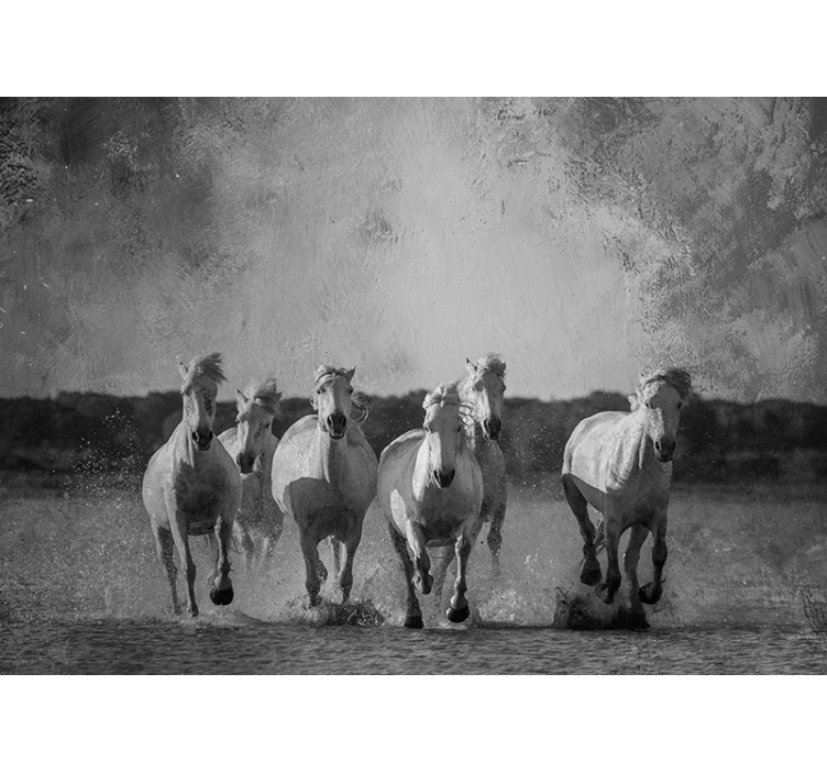 Mural de parede animais cavalos brancos correndo - TenStickers