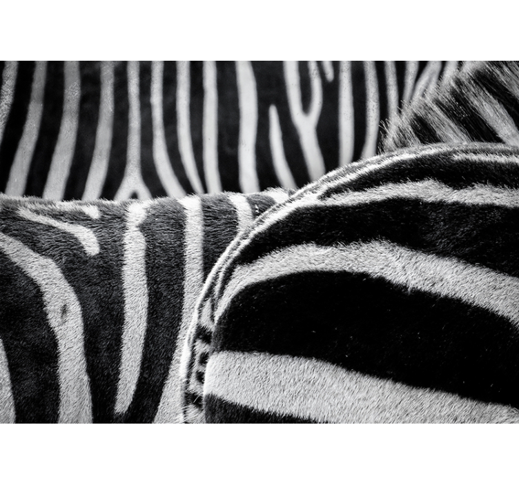 Mural de parede animais listras de zebra realistas - TenStickers