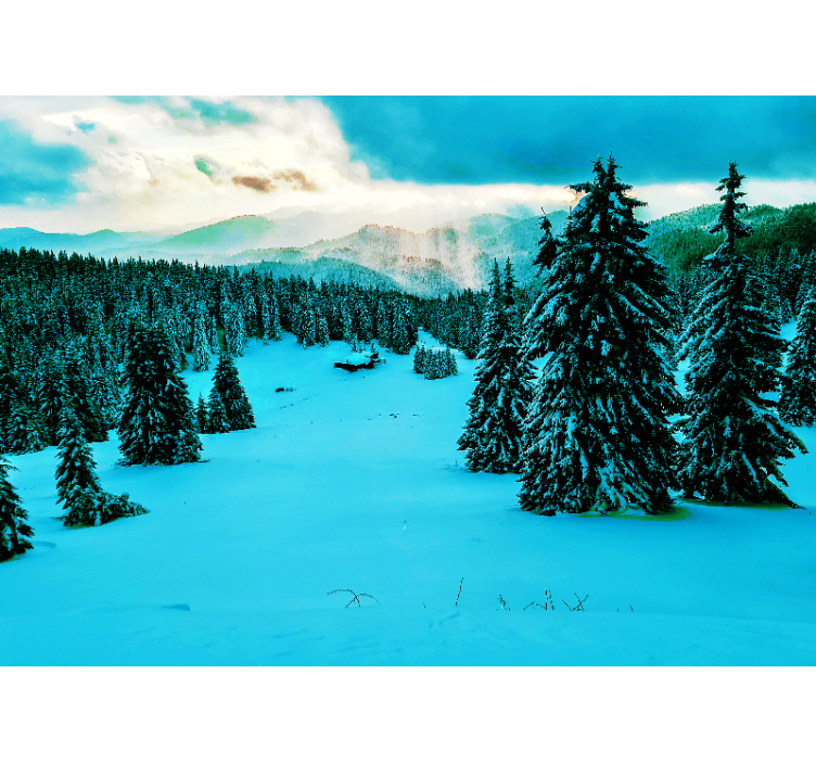 Fotomurais de paisagens Floresta de neve - TenStickers