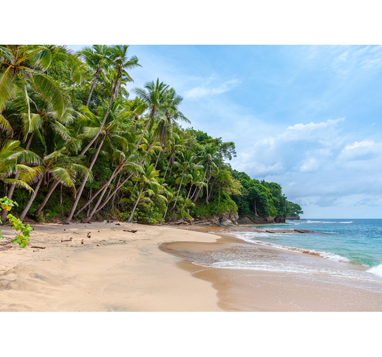 Murais de Parede Praia paradisíaca - TenStickers