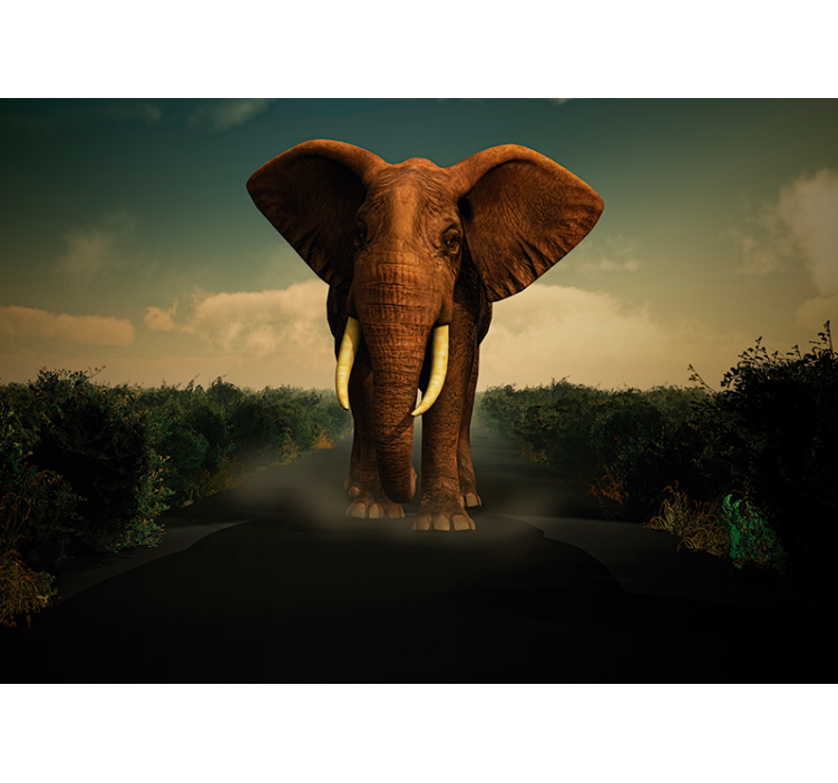 Elefante na estrada fotomural de parede - TenStickers