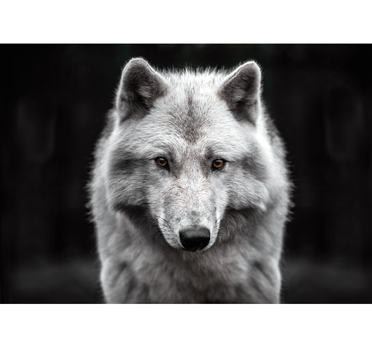 fotomural de parede de parede de lobo branco - TenStickers