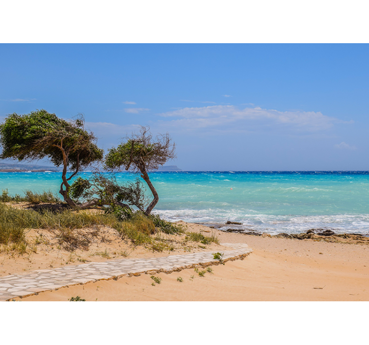 Fotomurais de paisagens Caminho branco para a praia - TenStickers